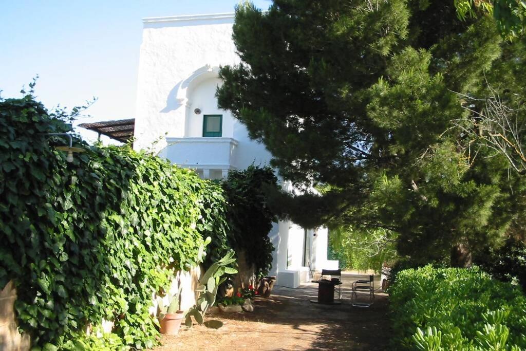 Casa Colonica Villa Gallipoli Kültér fotó