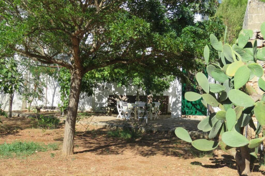 Casa Colonica Villa Gallipoli Kültér fotó