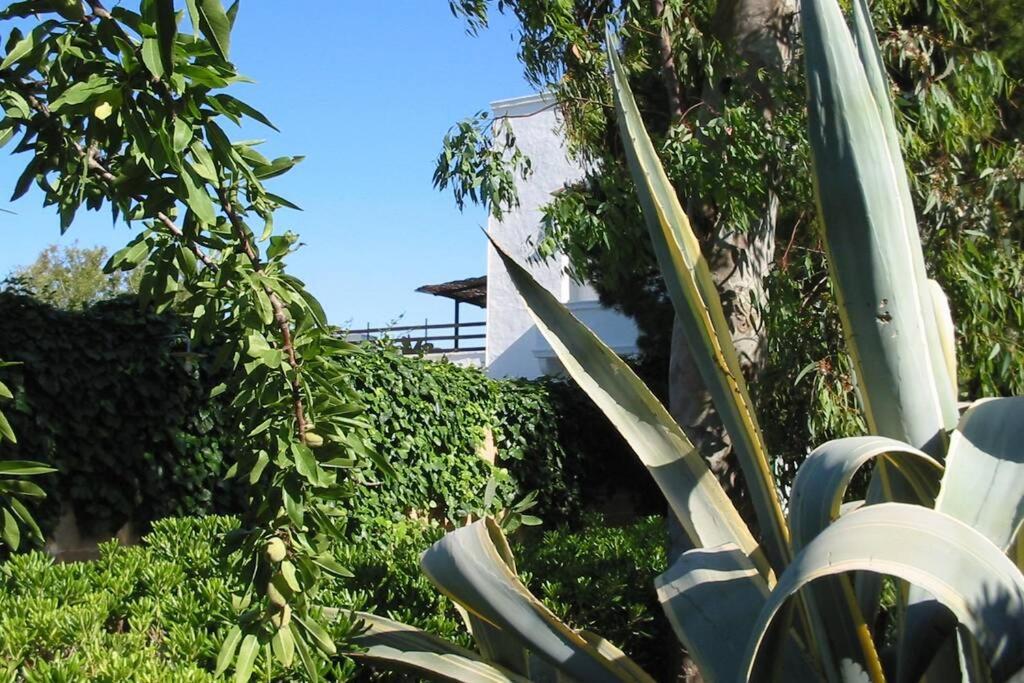Casa Colonica Villa Gallipoli Kültér fotó