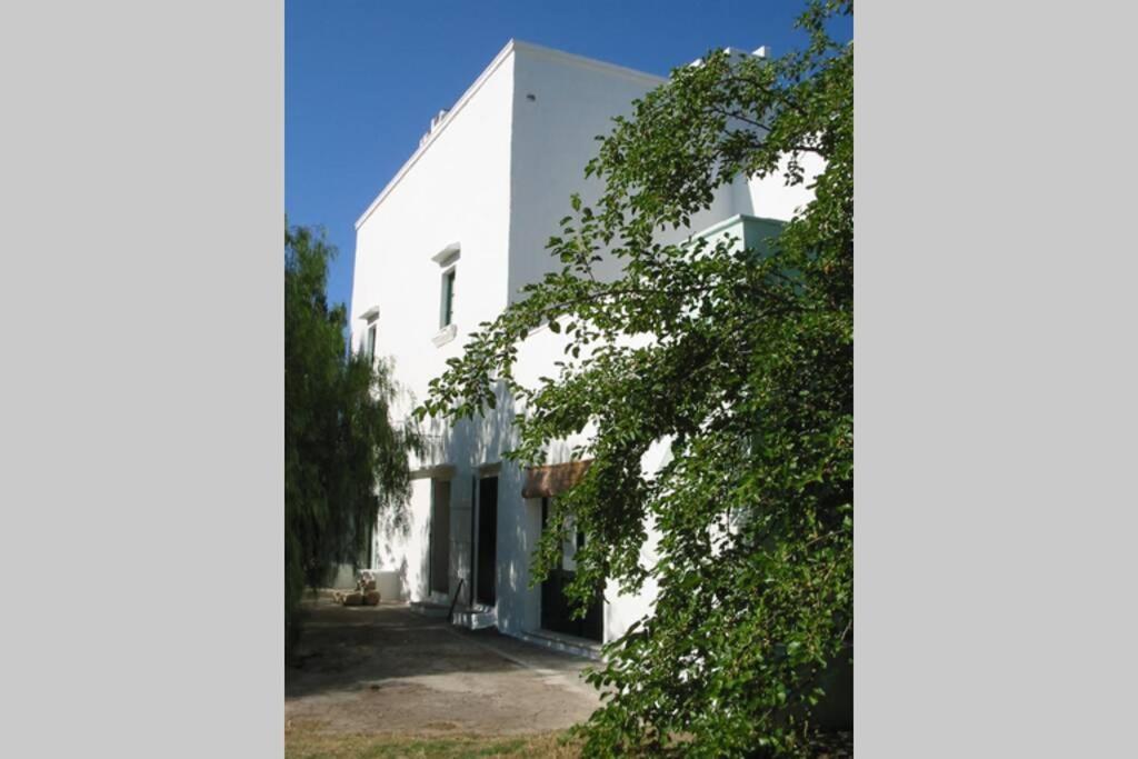 Casa Colonica Villa Gallipoli Kültér fotó