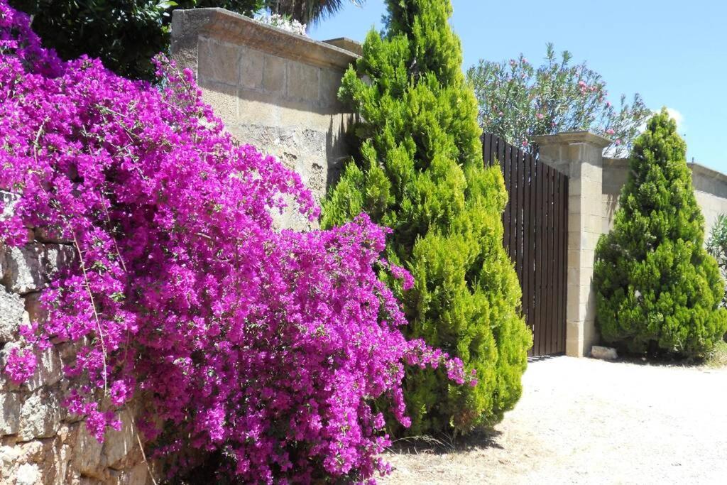 Casa Colonica Villa Gallipoli Kültér fotó