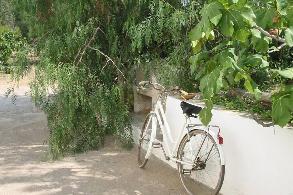 Casa Colonica Villa Gallipoli Kültér fotó